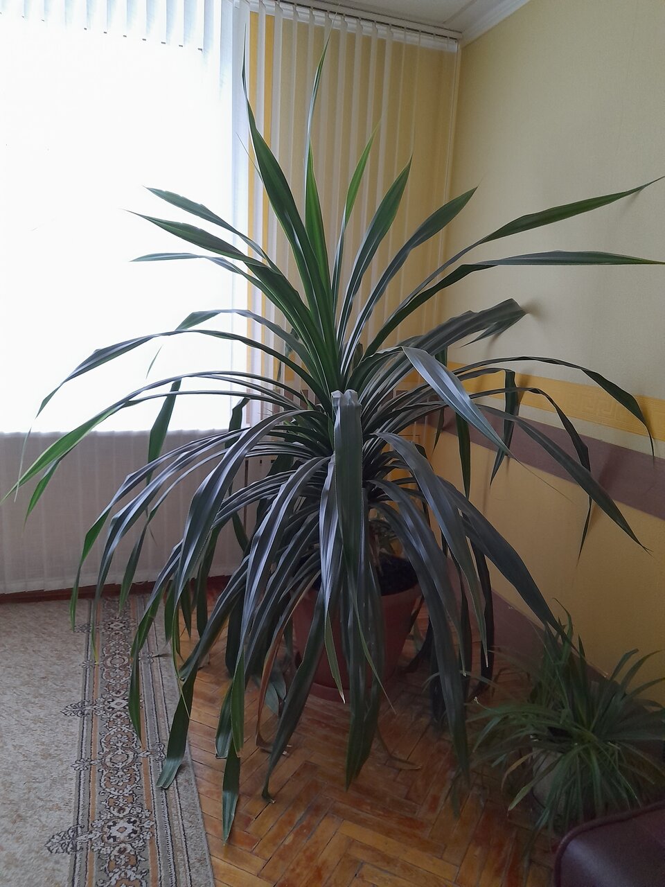 Гостиница Октябрьская Псков-114