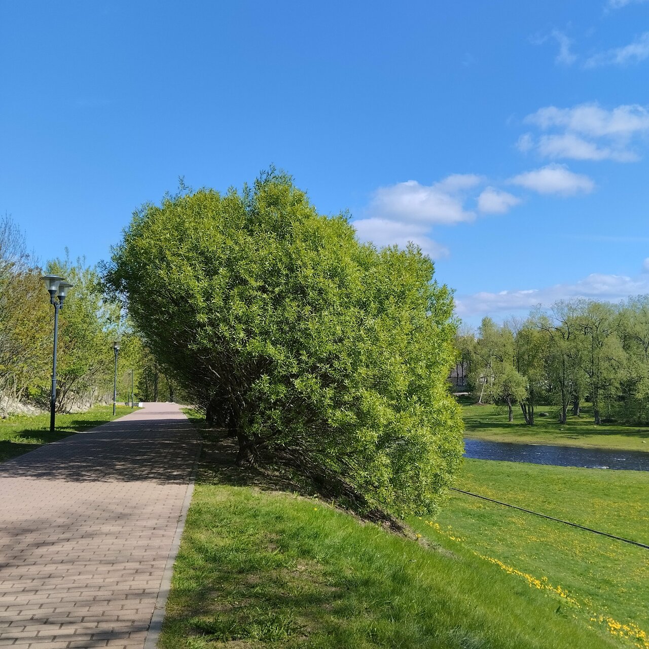 Гостиница Октябрьская Псков-84