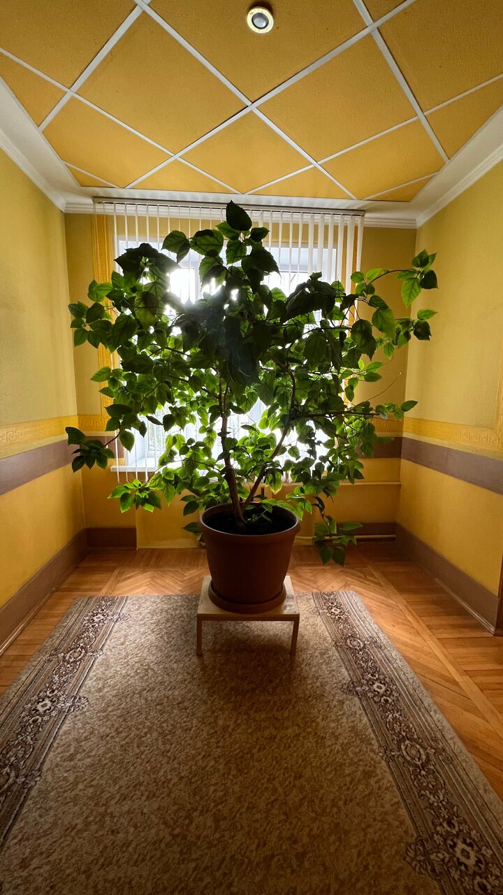 Гостиница Октябрьская Псков-162