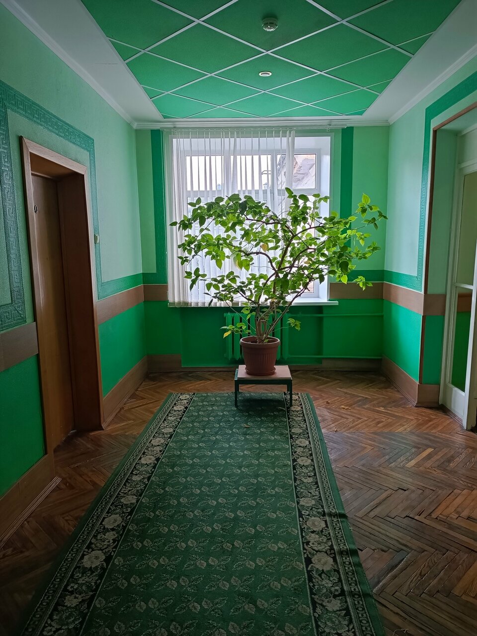 Гостиница Октябрьская Псков-231