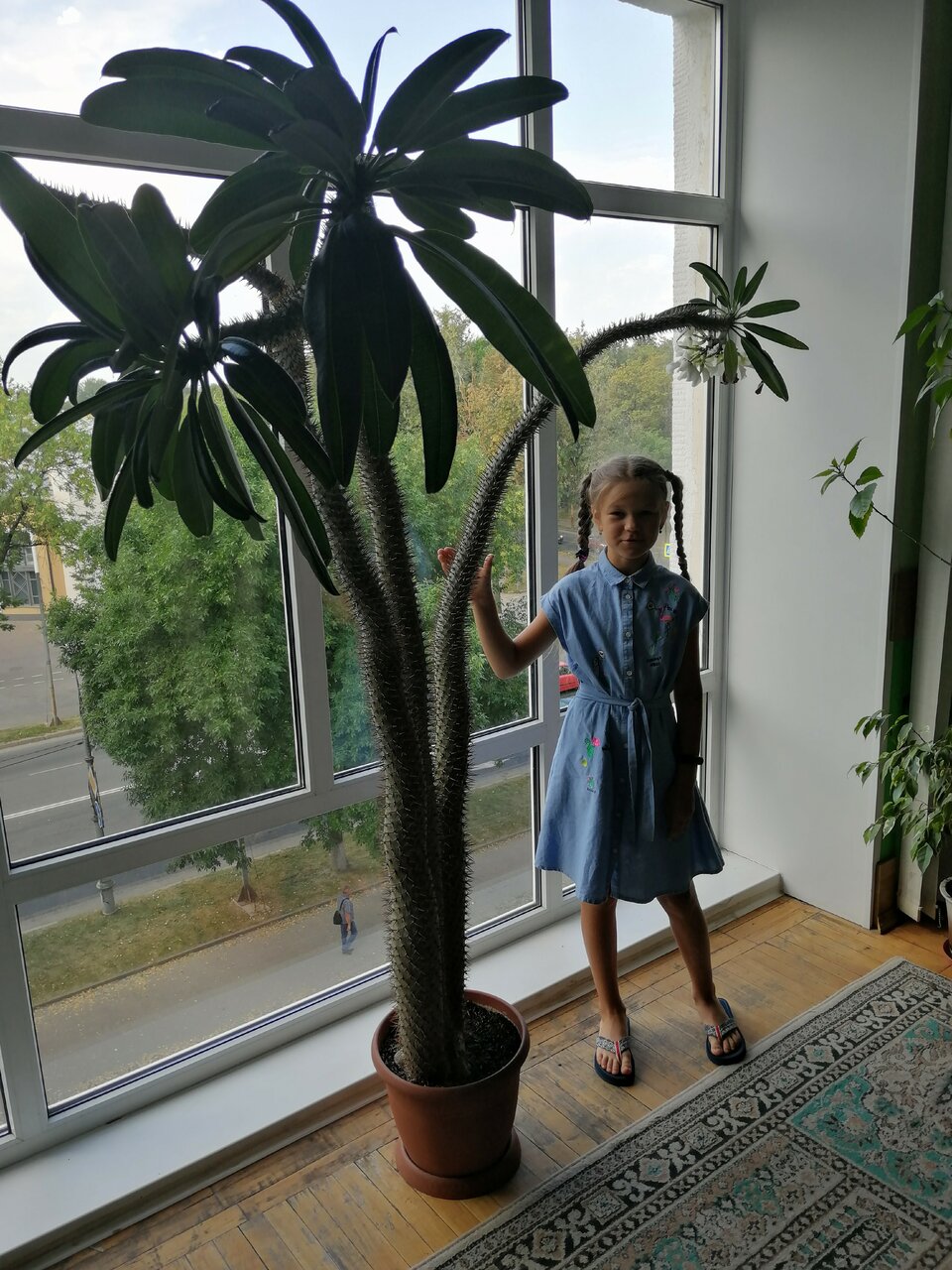 Гостиница Октябрьская Псков-176