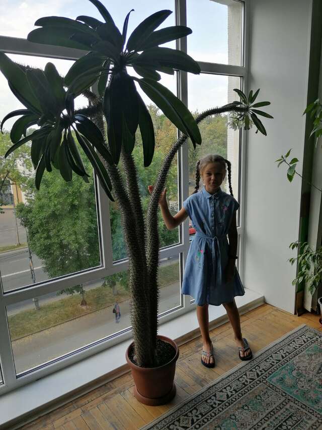 Гостиница Октябрьская Псков-175