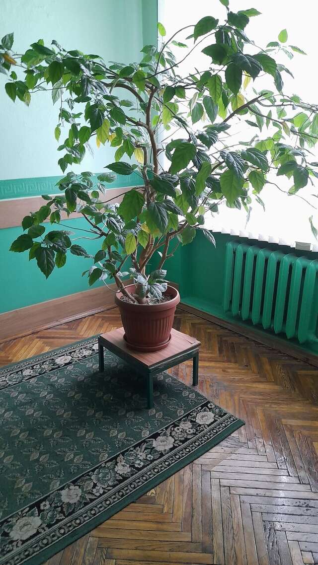 Гостиница Октябрьская Псков-130